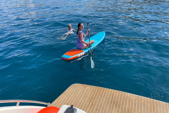 Whales and Dolphins excursion on a Luxury Yacht in Canary Islands - What the $104.01 price gets you