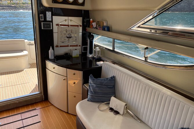 Whales and Dolphins excursion on a Luxury Yacht in Canary Islands - Along the coast with Mount Teide in view